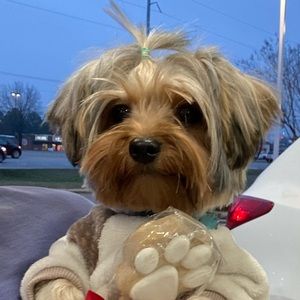 Meet your Posher, Hope